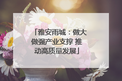雅安雨城：做大做强产业支撑 推动高质量发展