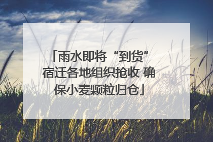 雨水即将“到货” 宿迁各地组织抢收 确保小麦颗粒归仓