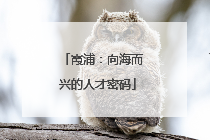 霞浦：向海而兴的人才密码