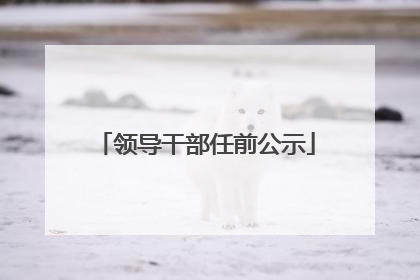 领导干部任前公示
