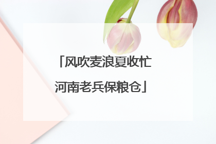 风吹麦浪夏收忙 河南老兵保粮仓