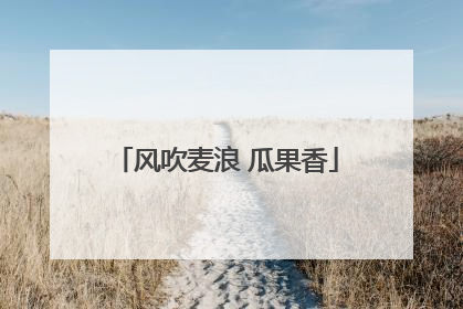 风吹麦浪 瓜果香