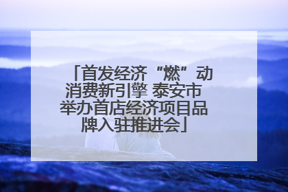 首发经济“燃”动消费新引擎 泰安市举办首店经济项目品牌入驻推进会