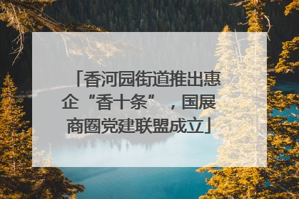香河园街道推出惠企“香十条”，国展商圈党建联盟成立