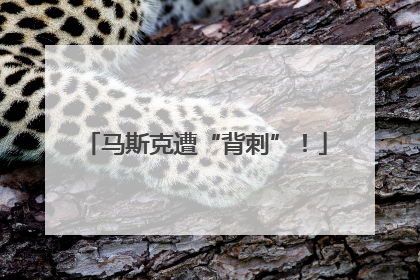 马斯克遭“背刺”！