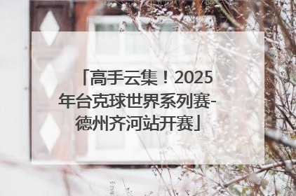 高手云集！2025年台克球世界系列赛-德州齐河站开赛