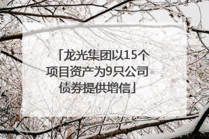 龙光集团以15个项目资产为9只公司债券提供增信