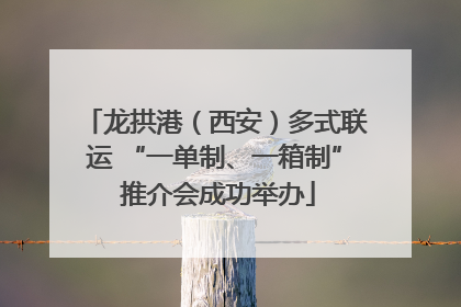 龙拱港（西安）多式联运 “一单制、一箱制” 推介会成功举办