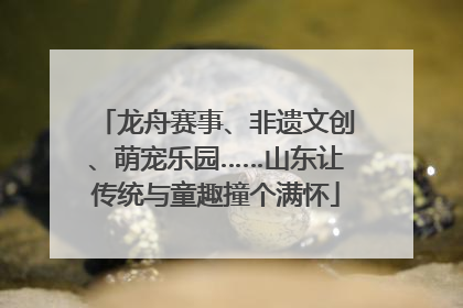 龙舟赛事、非遗文创、萌宠乐园……山东让传统与童趣撞个满怀