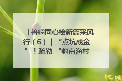 鲁疆同心绘新篇采风行（6）｜“点坑成金”！疏勒 “疆南渔村” 从废弃坑塘变身全国垂钓胜地