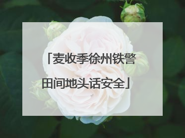 麦收季徐州铁警田间地头话安全
