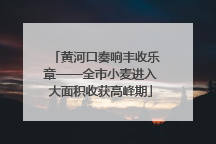黄河口奏响丰收乐章——全市小麦进入大面积收获高峰期