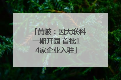 黄陂：因大联科一期开园 首批14家企业入驻