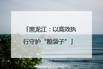 黑龙江：以高效执行守护“粮袋子”