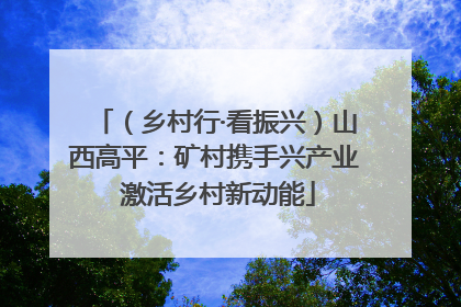 （乡村行·看振兴）山西高平：矿村携手兴产业 激活乡村新动能
