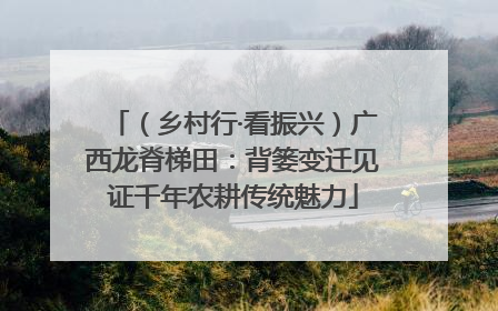 （乡村行·看振兴）广西龙脊梯田：背篓变迁见证千年农耕传统魅力