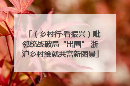 （乡村行·看振兴）毗邻统战破局“出圈” 浙沪乡村绘就共富新图景