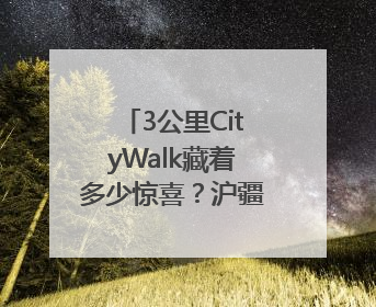 3公里CityWalk藏着多少惊喜？沪疆童心手拉手，“益起走”
