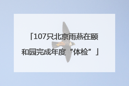 107只北京雨燕在颐和园完成年度“体检”