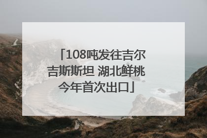 108吨发往吉尔吉斯斯坦 湖北鲜桃今年首次出口