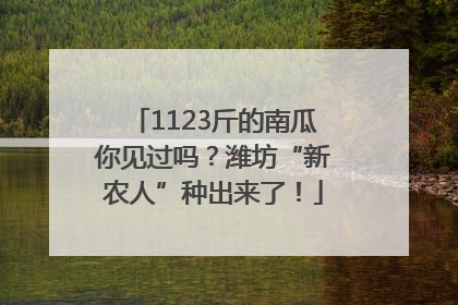 1123斤的南瓜你见过吗？潍坊“新农人”种出来了！