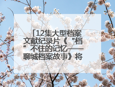 12集大型档案文献纪录片《“档”不住的记忆——聊城档案故事》将于近期播出