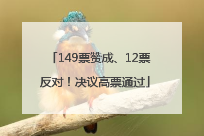 149票赞成、12票反对！决议高票通过