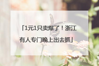 1元1只卖爆了！浙江有人专门晚上出去抓