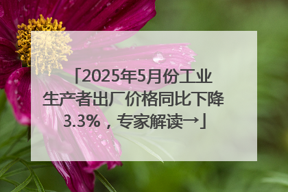 2025年5月份工业生产者出厂价格同比下降3.3%，专家解读→
