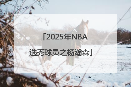 2025年NBA选秀球员之杨瀚森