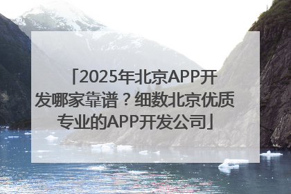 2025年北京APP开发哪家靠谱？细数北京优质专业的APP开发公司