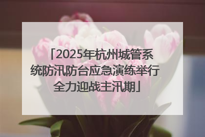2025年杭州城管系统防汛防台应急演练举行 全力迎战主汛期