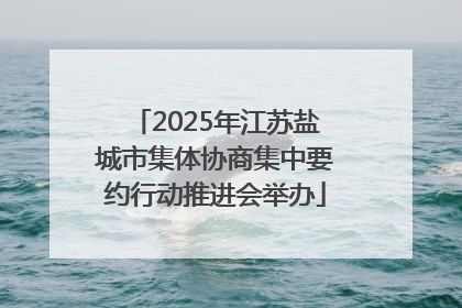 2025年江苏盐城市集体协商集中要约行动推进会举办