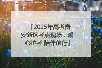 2025年高考贵安新区考点现场：暖心护考 陪伴前行