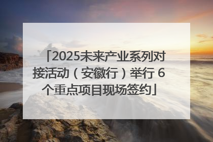 2025未来产业系列对接活动（安徽行）举行 6个重点项目现场签约
