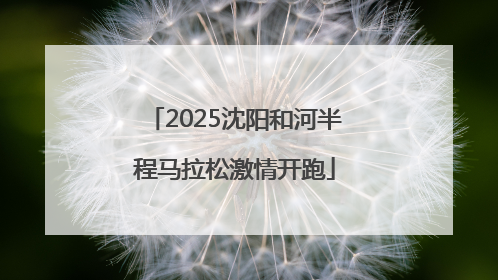 2025沈阳和河半程马拉松激情开跑