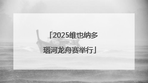 2025维也纳多瑙河龙舟赛举行
