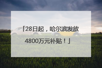 28日起，哈尔滨发放4800万元补贴！