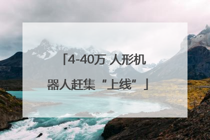 4-40万 人形机器人赶集“上线”