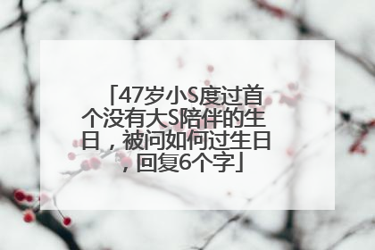 47岁小S度过首个没有大S陪伴的生日，被问如何过生日，回复6个字