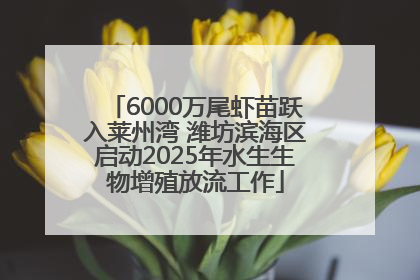 6000万尾虾苗跃入莱州湾 潍坊滨海区启动2025年水生生物增殖放流工作