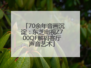70余年音画沉淀：东芝电视Z700QF解码客厅声音艺术