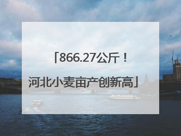 866.27公斤！河北小麦亩产创新高