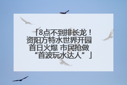 8点不到排长龙！资阳方特水世界开园首日火爆 市民抢做“首波玩水达人”