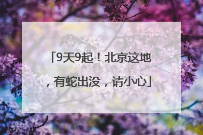 9天9起！北京这地，有蛇出没，请小心