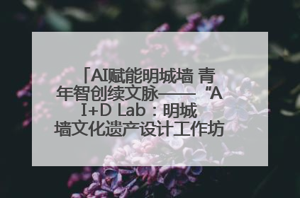 AI赋能明城墙 青年智创续文脉——“AI+D Lab：明城墙文化遗产设计工作坊”在南京开营