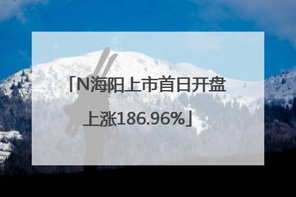 N海阳上市首日开盘上涨186.96%