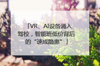 VR、AI设备涌入驾校，智能班低价背后的“速成隐患”